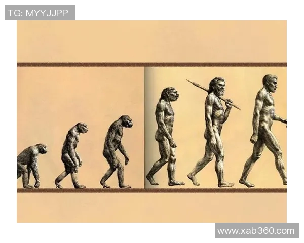 猿人足球明星的传奇之路与人类运动的进化探索